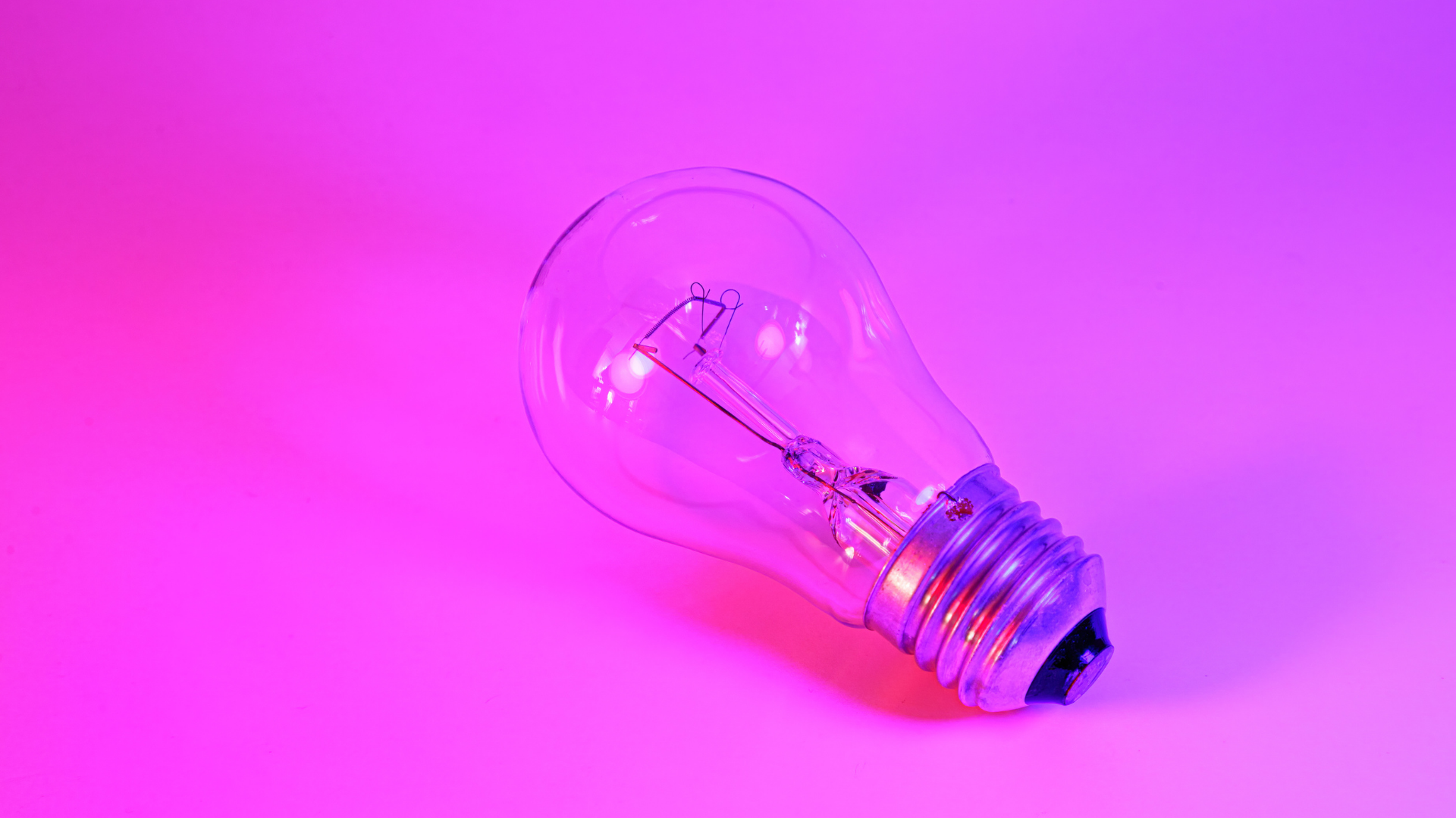 pink lightbulb